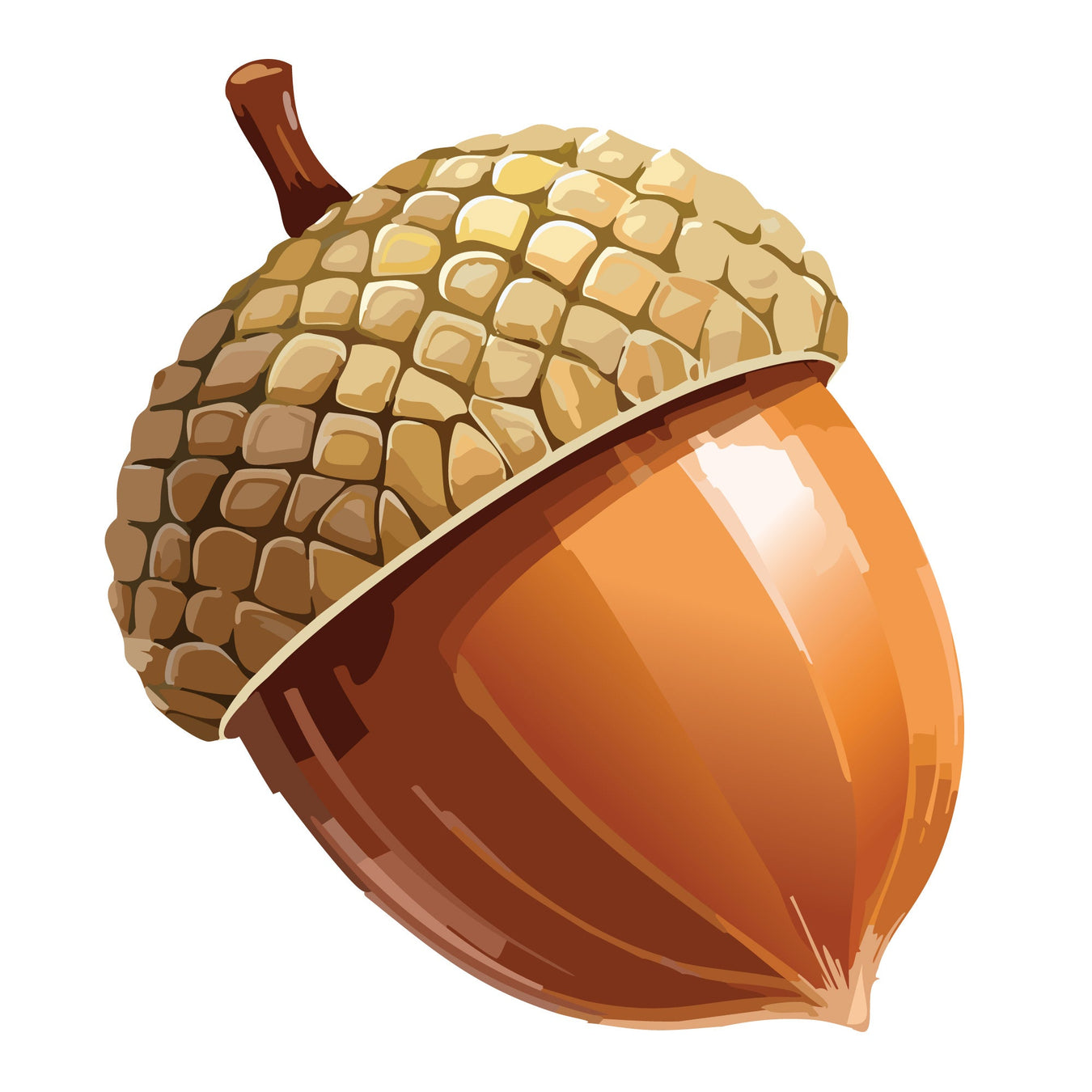 Acorn Food Flavouring Drops